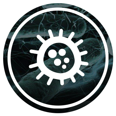 round icon with a virus