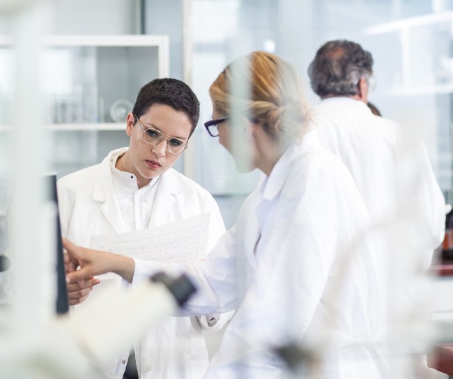 Zwei Wissenschaftlerinnen unterhalten sich vor einem Computermonitor über Daten.
