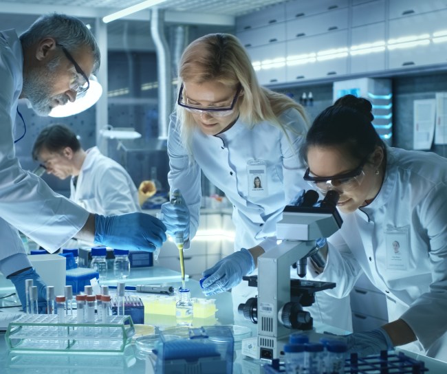 Vier Forscher arbeiten im Labor.