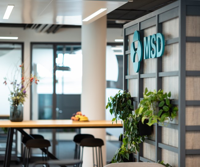 Atmosphäre eines MSD-Büros mit großem Logo.