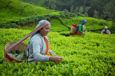 Paltzhalter Externer Teaser Nachhaltigkeit