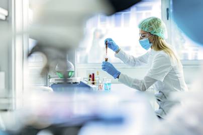 Scientists working with test tubes in lab
