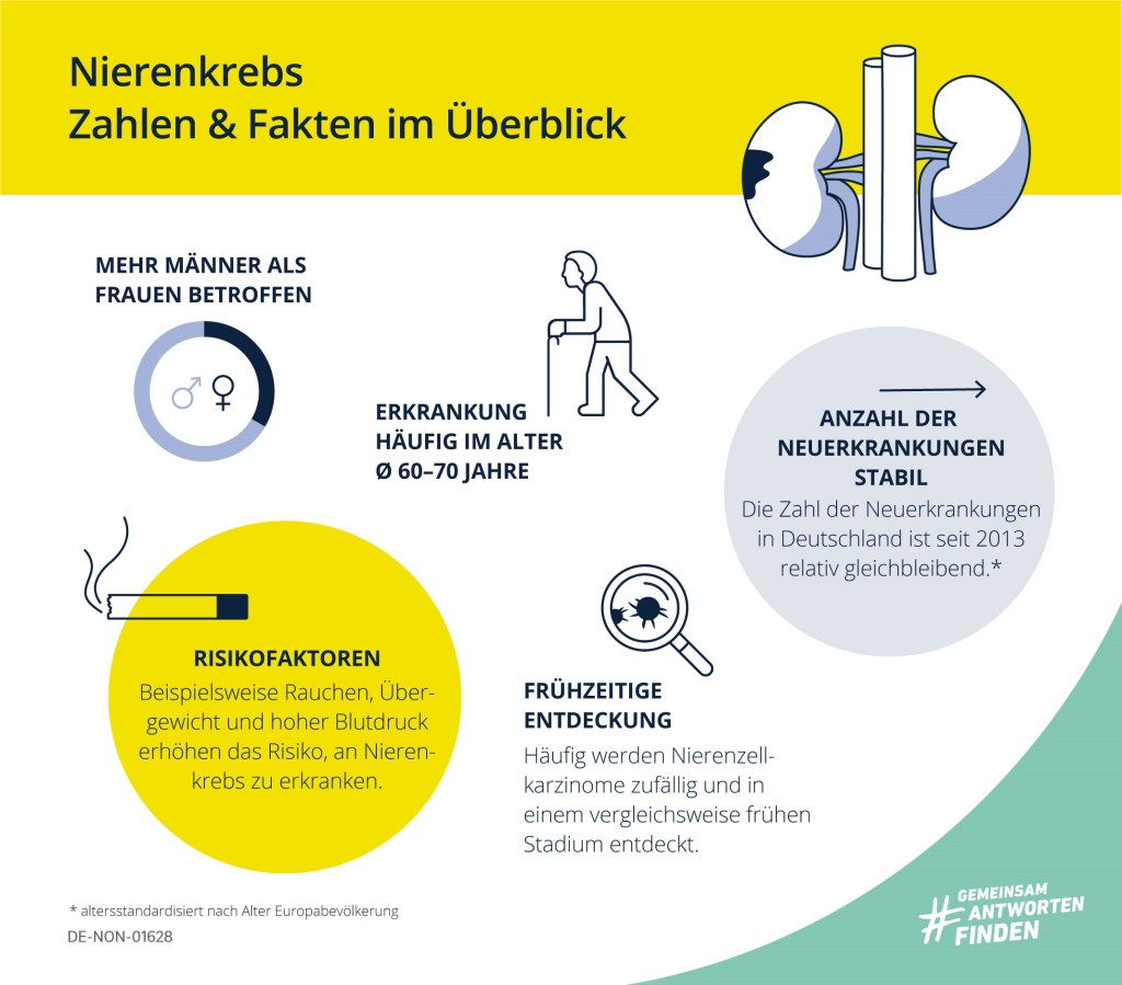 Nierenkrebs Zahlen & Fakten im Überblick