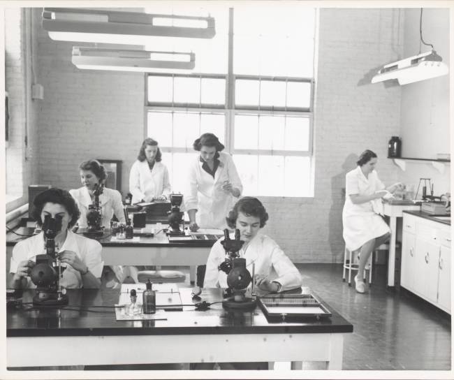 Historisches schwarz-weiß Bild aus einem Labor von MSD. Darauf zu sehen sind sechs Frauen, die an verschiedenen Laborarbeitsplätzen arbeiten.