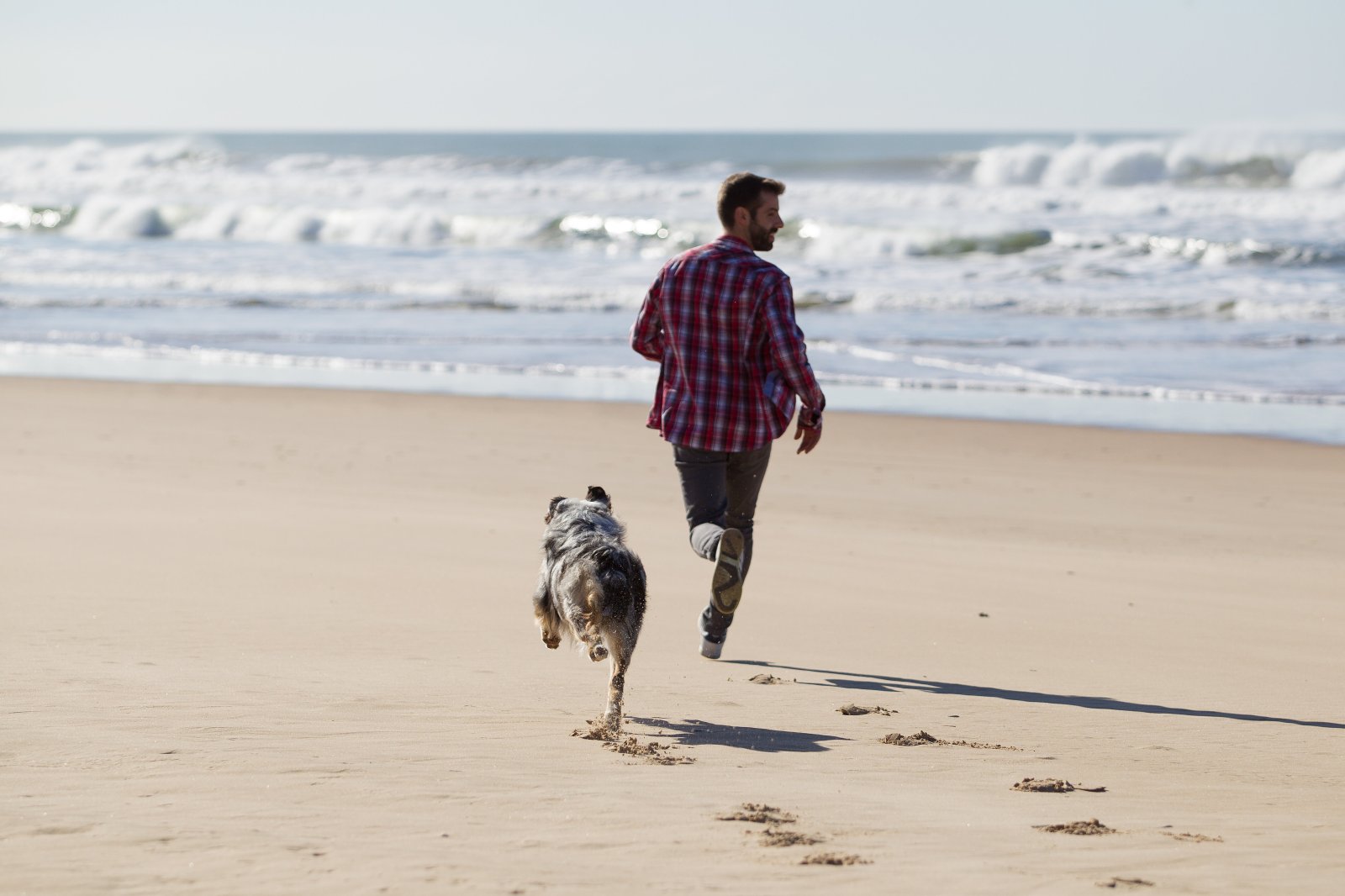 Ein Mann mit Hund rennt ausgelassen am Strand entlang