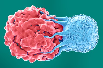 Image for Was ist eine individualisierte Neoantigentherapie (INT)? Personalisierte Therapien für Krebspatient:innen