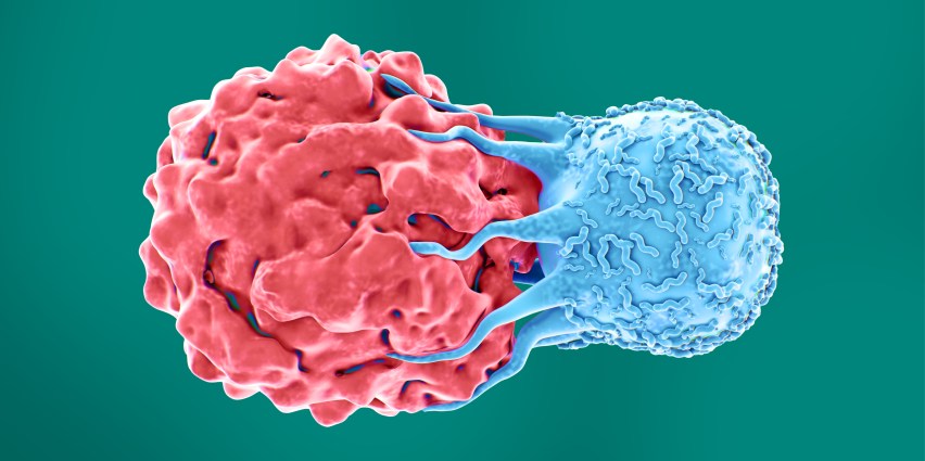 Was ist eine individualisierte Neoantigentherapie (INT)? Personalisierte Therapien für Krebspatient:innen