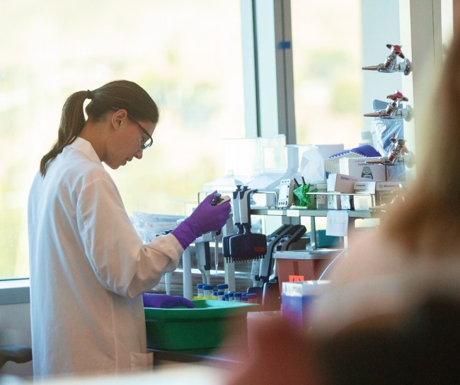 Eine Wissenschaftlerin in Laborkittel und mit violetten Handschuhen arbeitet konzentriert mit Pipette und Reagenzgläsern in einem hellen Labor. Der Hintergrund zeigt moderne Laborausstattung und Fenster mit Tageslicht.